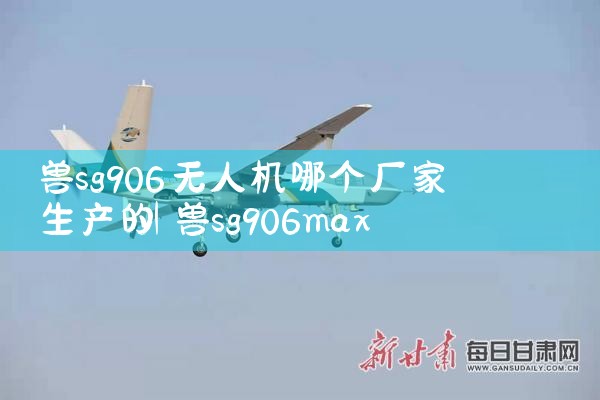 sg906˻ĸ|˻UAV