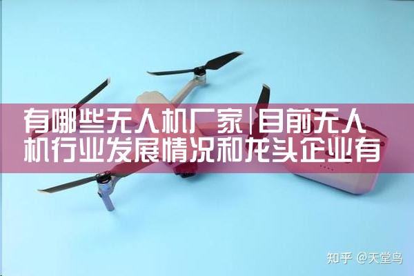 װ˻ϵͳ쳧|˻UAV