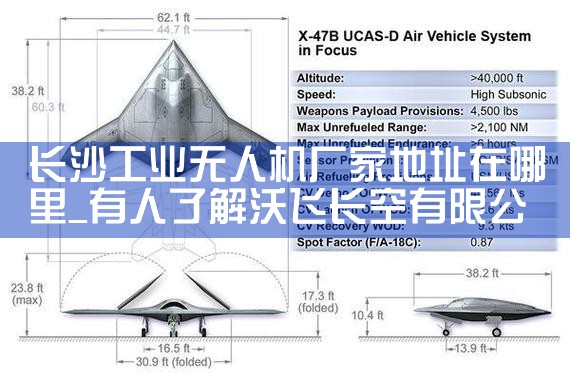 ϲ˻ѽ|˻UAV